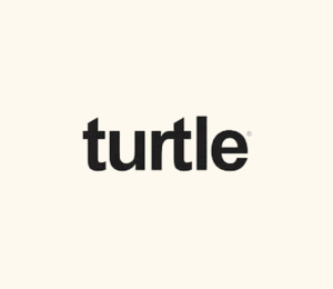 Turtle logo site